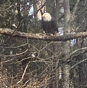 Meet your Posher, Joe